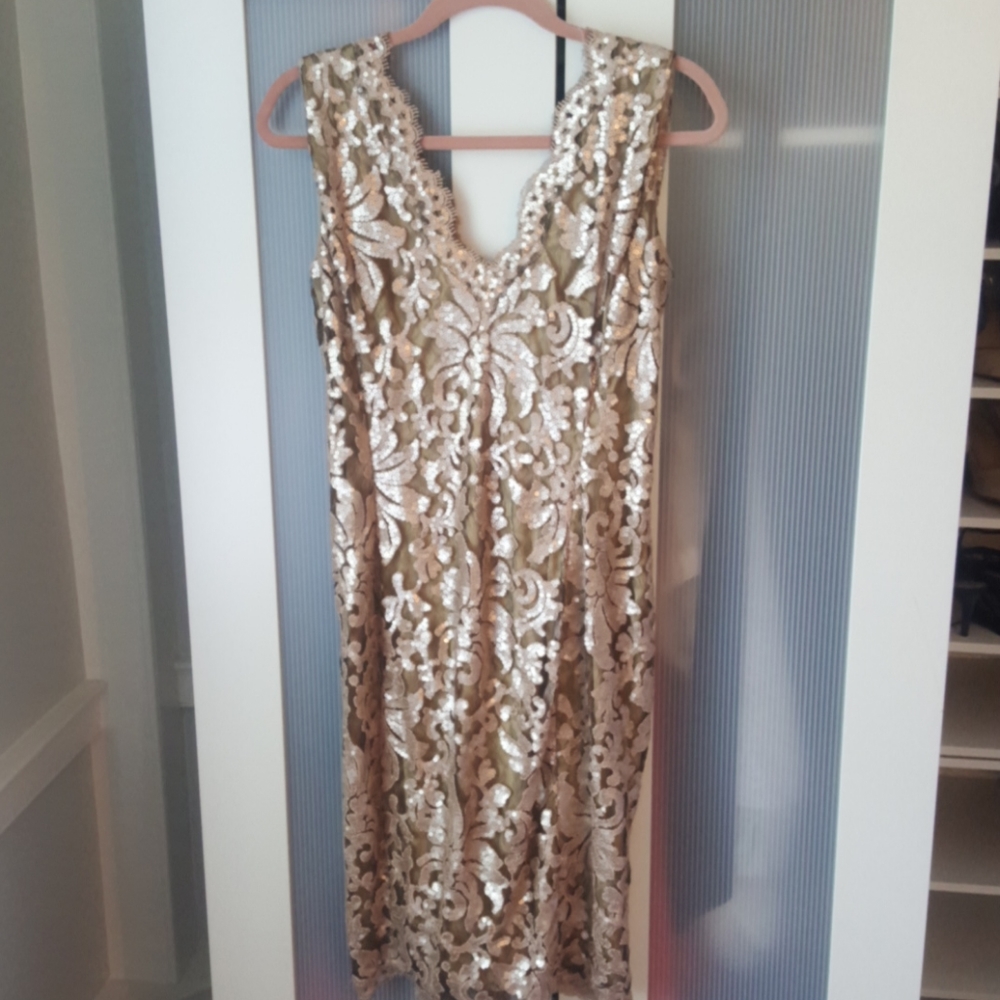 Tadashi Shoji Sequined  & Lace Dress - 4